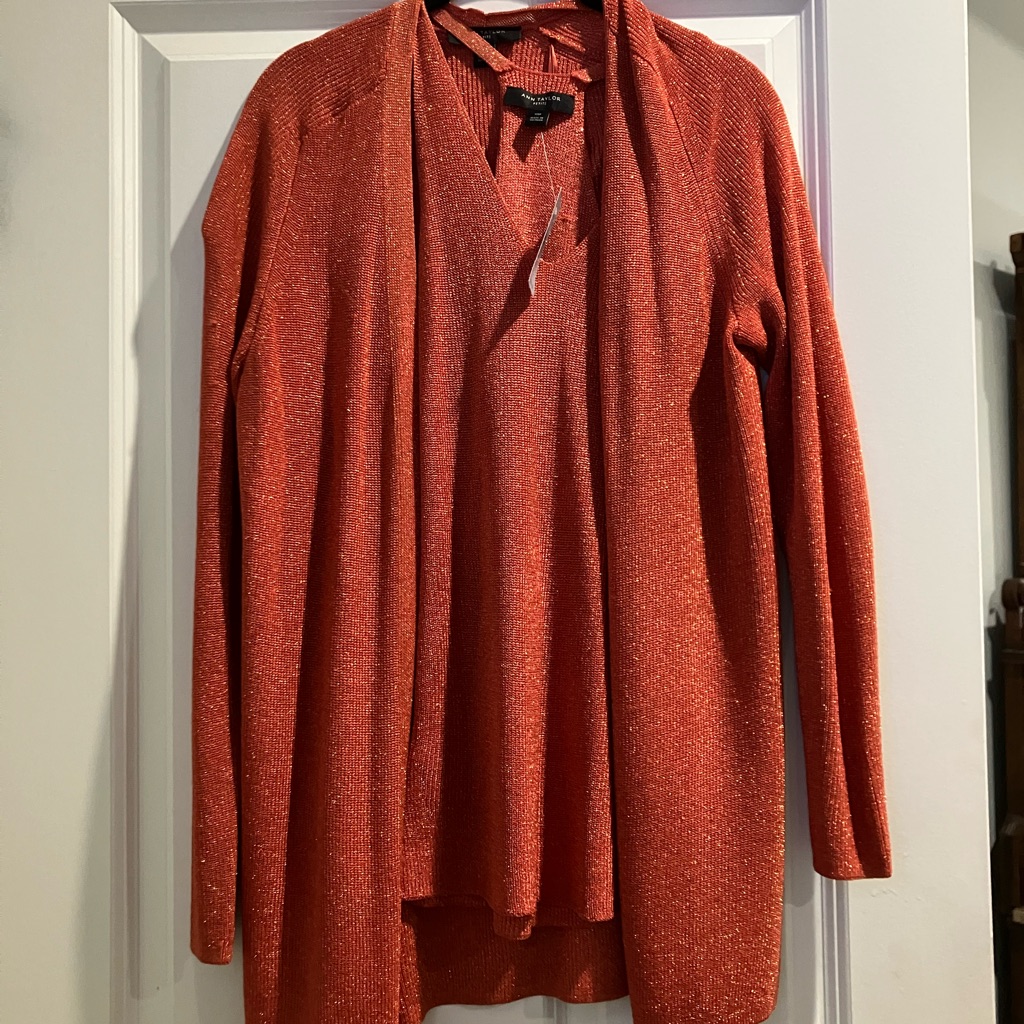 Nwt Xsp Ann Taylor Sparkle Pumpkin Sweater Set